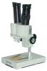 LOUPE VISEE DROITE PARALUX TP-1